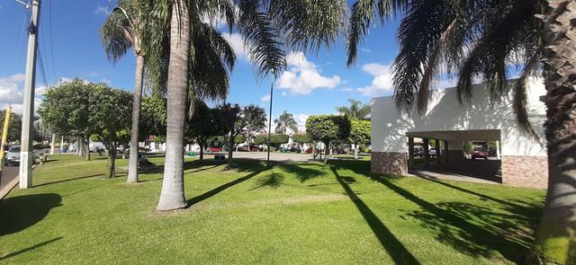 Foto de la galeria de imagenes
